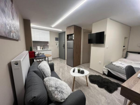 Odyssey Apt 3